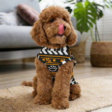 Charger l'image dans la galerie, T-shirt d'Été Personnalisable pour Petit Chien et Chat | Débardeur Léger Effet Fraîcheur