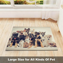 Charger l'image dans la galerie, Tapis de Gamelle Absorbant Personnalisable | Set de Table Anti-Éclaboussures pour Animaux