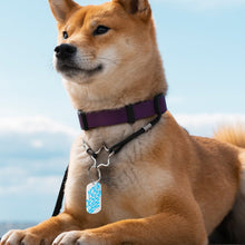 Charger l'image dans la galerie, Porte-clés en métal et plaques d'identification pour chien avec la même image des deux côtés personnalisé avec photo texte prénom