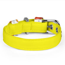 Charger l'image dans la galerie, Collier réglable pour chiens et chats Q025 accessoires pour animaux de compagnie personnalisée avec prénom motif texte (conception multi-images)