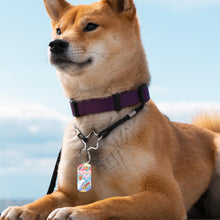 Charger l'image dans la galerie, Porte-clés en métal et plaques d'identification pour chien avec la même image des deux côtés personnalisé avec photo texte prénom