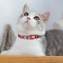 Charger l'image dans la galerie, Le Premier Collier : Créez un Collier Chiot & Chaton Personnalisé