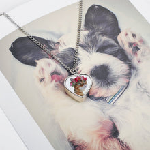 Charger l'image dans la galerie, Collier Commémoratif Personnalisé pour Animal | Pendentif Urne avec Photo