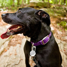 Charger l'image dans la galerie, Médaille pour chien acier inoxydable pour chien chat mascotte CW1501014 personnalisé avec impression complète plusieurs images avec texte motif logo photo