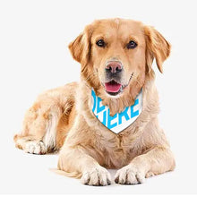Charger l'image dans la galerie, Collier pour animaux de compagnie écharpe animal foulard triangle bandanas pour chiens chats personnalisé avec photos motif texte logo