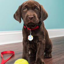 Charger l'image dans la galerie, Pet Tag / médaille pour chiens CW1501012 personnalisé avec photo logo texte motif