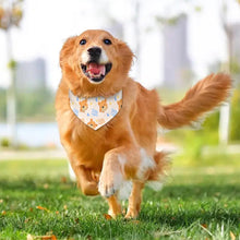 Charger l'image dans la galerie, Collier pour animaux de compagnie écharpe animal foulard triangle bandanas pour chiens chats personnalisé avec photos motif texte logo