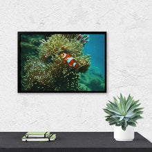 Charger l'image dans la galerie, Votre Photo en Broderie Diamant | Kit Complet Strass Ronds
