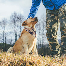 Charger l'image dans la galerie, Bandana Personnalisé pour Chien et Chat en Tissu Respirant
