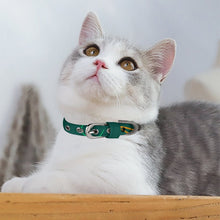 Charger l'image dans la galerie, Collier Commémoratif Personnalisé pour Animal | Pendentif Urne avec Photo
