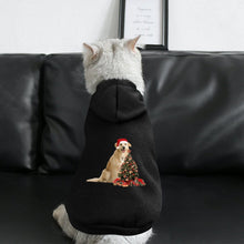 Charger l&#39;image dans la galerie, Le Style des Légendes : Sweat à Capuche pour Chien &amp; Chat
