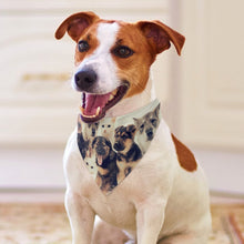 Charger l'image dans la galerie, Bandana Personnalisé pour Chien et Chat en Tissu Respirant
