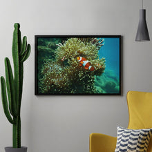 Charger l'image dans la galerie, Votre Photo en Broderie Diamant | Kit Complet Strass Ronds
