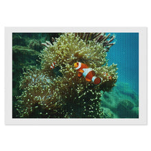 Charger l'image dans la galerie, Votre Photo en Broderie Diamant | Kit Complet Strass Ronds
