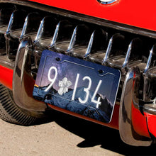 Charger l&#39;image dans la galerie, Support de plaque d&#39;immatriculation en aluminium QC1101017 Personnalisé avec logo (quatre trous plats + combinaison de plaque d&#39;immatriculation)

